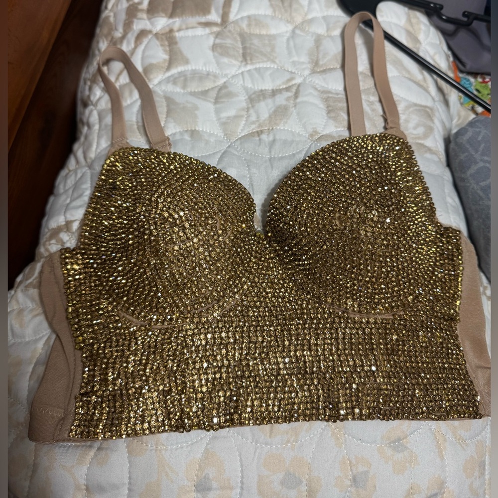 Dazzling Glow Embellished Bustier